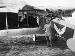 Fokker D.VII early from Jasta 19 after top wing failure (0048-19)